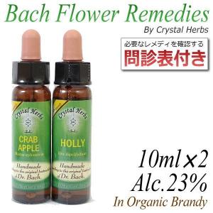 フラワーレメディ　バッチシリーズ　選べる２本セット　各10ml　問診表付き