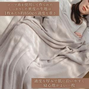 【在庫処分価格】シングル 綿100% タオルケ...の詳細画像2