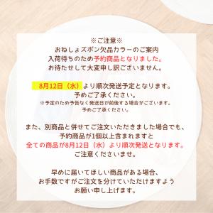 2枚組 おねしょズボン 半ズボン 乾燥機 夏用...の詳細画像2
