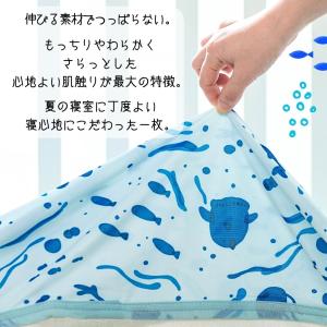 タオルケット 子供 夏用 ひんやり おしゃれ ...の詳細画像1