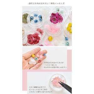 お花 の アソートセット 12種 ■ ドライフ...の詳細画像1