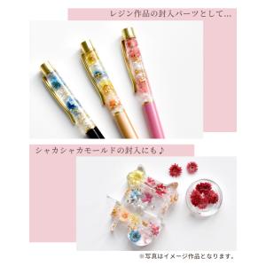 お花 の アソートセット 12種 ■ ドライフ...の詳細画像2