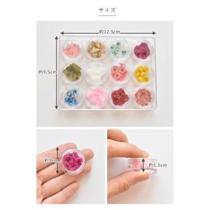 お花 の アソートセット 12種 ■ ドライフ...の詳細画像3