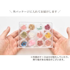お花 の アソートセット 12種 ■ ドライフ...の詳細画像4
