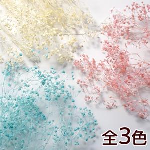 ドライフラワー かすみ草 全3色 ■ レジン ハ...の商品画像