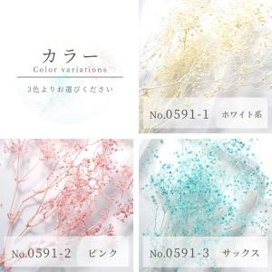 ドライフラワー かすみ草 全3色 ■ レジン ...の詳細画像3