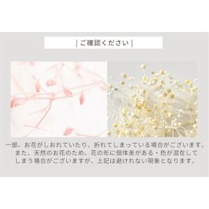 ドライフラワー かすみ草 全3色 ■ レジン ...の詳細画像4
