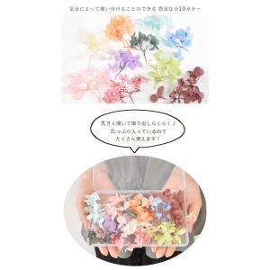 ドライフラワー あじさい 10色×約10枚セッ...の詳細画像2