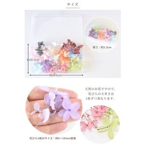 ドライフラワー あじさい 10色×約10枚セッ...の詳細画像3