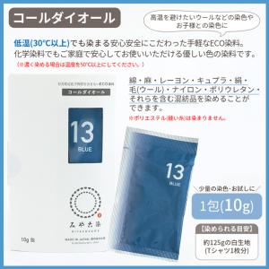 みやこ染 低温(30℃以上)で染まる ECO染...の詳細画像2