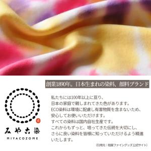 みやこ染 低温(30℃以上)で染まる ECO染...の詳細画像4