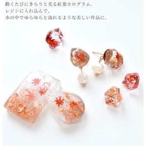ホログラム 封入 パーツ 紅葉 1ケース ■ ...の詳細画像1