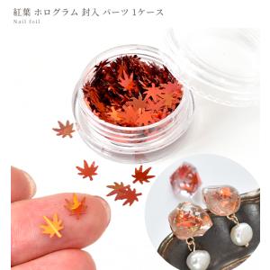 ホログラム 封入 パーツ 紅葉 1ケース ■ ...の詳細画像3
