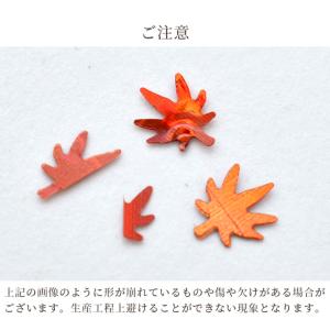 ホログラム 封入 パーツ 紅葉 1ケース ■ ...の詳細画像4