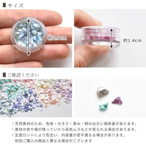 クラッシュ シェル フレーク 全8色 単品売り...の詳細画像4