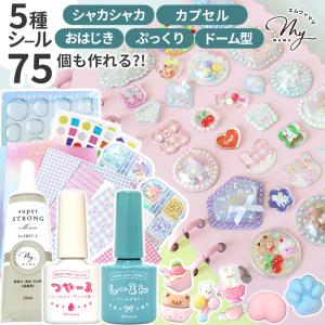 手作りシールキット レジン不要 しーるん つやーる レシピ ■ 75個 5種類 セット 簡単 初心者 子ども シール液 オリジナル ■