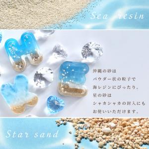星の砂 10g / 沖縄のパウダー砂 75g ...の詳細画像1