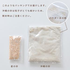 星の砂 10g / 沖縄のパウダー砂 75g ...の詳細画像4