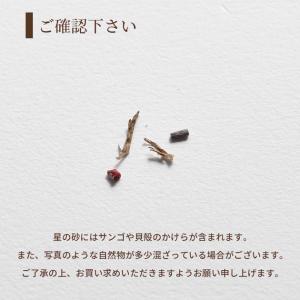星の砂 10g / 沖縄のパウダー砂 75g ...の詳細画像5