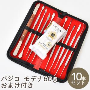 パジコ PADICO モデナ おまけ付き ケース付き スパチュラ