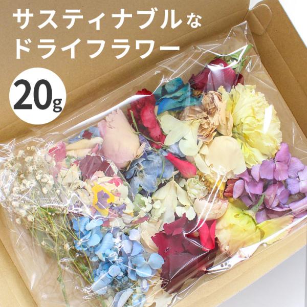 ドライフラワー サステナブル  約20g ロスフラワー ■ SDGs アップサイクル 天然 花材 レ...