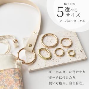 カラビナ キーホルダー パーツ 2〜6個入り ...の詳細画像1
