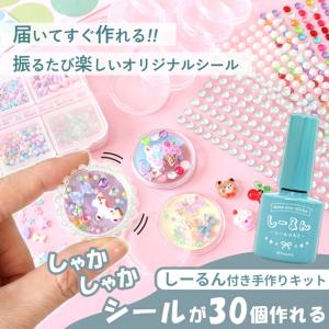 シール カプセル 手作りキット しーるん 付き...の詳細画像1