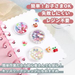 シール カプセル 手作りキット しーるん 付き...の詳細画像4