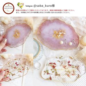 レジン液 2液性 レジン 大容量 300g 安...の詳細画像3