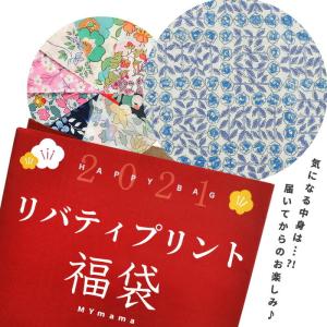 新春福袋 2021 リバティプリント 福袋 バッグも作れる いろいろパック 宅配送料無料 【予約販売】 《 カットクロス ハンドメイド 手作り キット セット 手芸 》