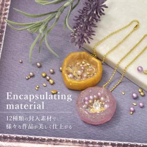 レジン 封入 パーツ 素材 ミックス 全12種...の詳細画像1