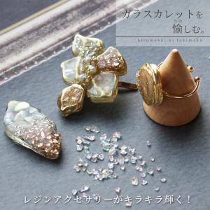レジン 封入 パーツ 素材 ミックス 全12種...の詳細画像2