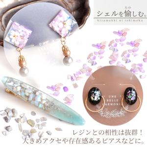 レジン 封入 パーツ 素材 ミックス 全12種...の詳細画像4