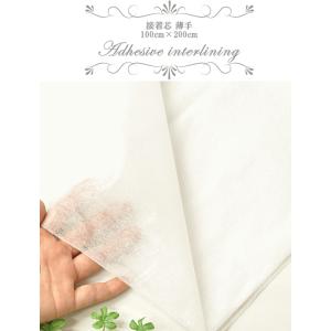 接着芯 薄手 100cm × 200cm 不織...の詳細画像1