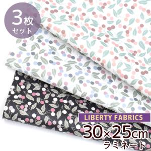 リバティプリント 別注 生地 はぎれ つや消し ...の商品画像