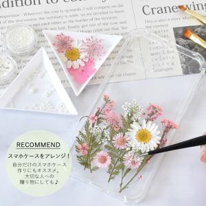 レジン 押し花 セット 40枚 レジン封入 全...の詳細画像3