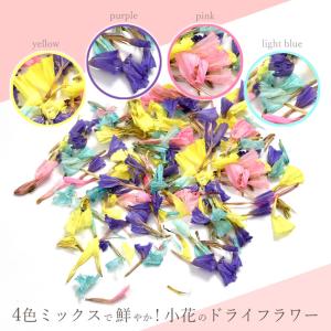 ドライフラワー 小花 4色 ミックス ■ レジ...の詳細画像1