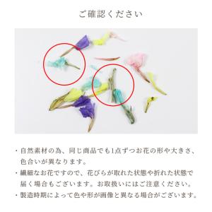 ドライフラワー 小花 4色 ミックス ■ レジ...の詳細画像4