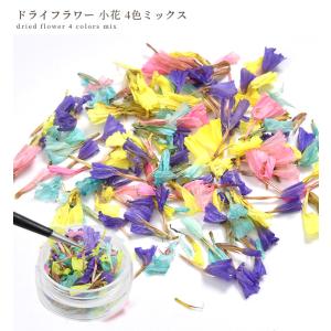 ドライフラワー 小花 4色 ミックス ■ レジ...の詳細画像5