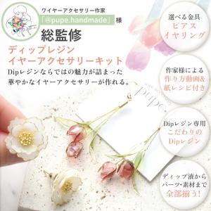 ディップレジン イヤーアクセサリー キット ピ...の詳細画像1