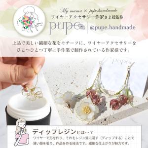 ディップレジン イヤーアクセサリー キット ピ...の詳細画像2