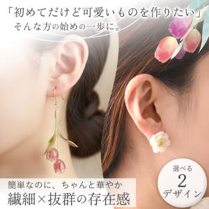 ディップレジン イヤーアクセサリー キット ピ...の詳細画像3