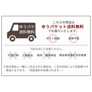 パジコ PADICO UV-LED スマート ...の詳細画像5