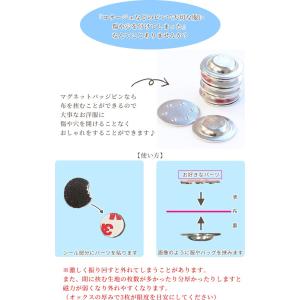 穴があかない マグネットバッジ ピン シール付...の詳細画像1