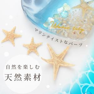レジン 封入 封入パーツ 天然 リアル ヒトデ...の詳細画像1