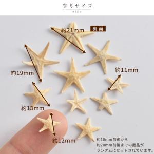 レジン 封入 封入パーツ 天然 リアル ヒトデ...の詳細画像5