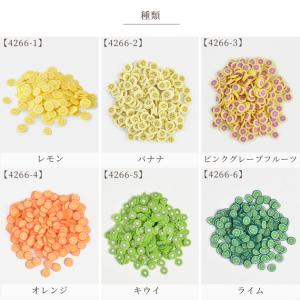 デコ パーツ ミニフルーツ スライス 約5g ...の詳細画像5