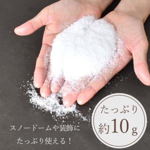 フェイク スノー パウダー 約10g 全2種 ...の詳細画像2