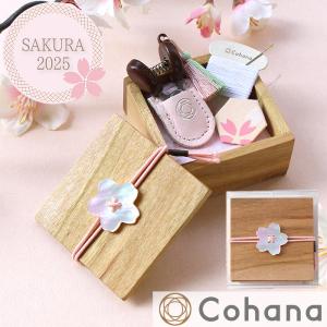 Cohana SAKURA 2026 関の豆ばさみ さくら / むらさき 45-414 45-415