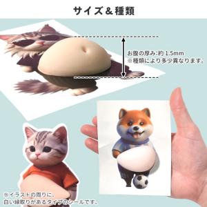 おなかシール お腹 ぷにぷに アニマル ステッ...の詳細画像4
